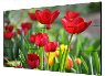 Pantalla Lcd 46″ Fhd