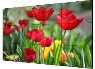 Pantalla Lcd 55″ Fhd