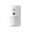 Detector Pir-cam
