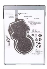 Disco Duro 2TB Sata. 2.5. Skyhawk ST2000LV000 Seagate
